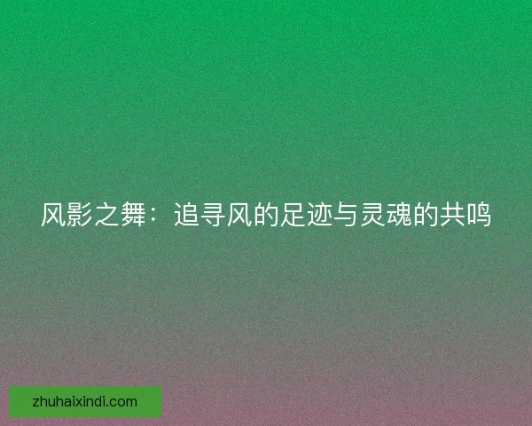风影之舞：追寻风的足迹与灵魂的共鸣