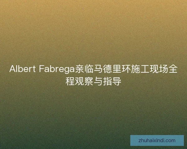 Albert Fabrega亲临马德里环施工现场全程观察与指导 Albert Fabrega亲临马德里环施工现场全程观察与指导